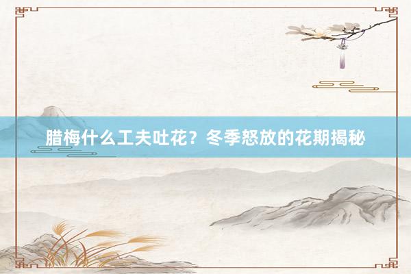 腊梅什么工夫吐花？冬季怒放的花期揭秘