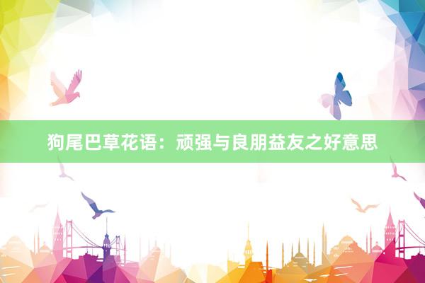 狗尾巴草花语：顽强与良朋益友之好意思