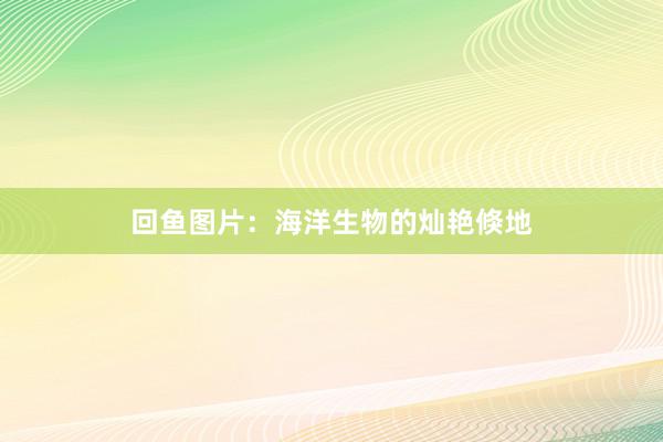 回鱼图片：海洋生物的灿艳倏地